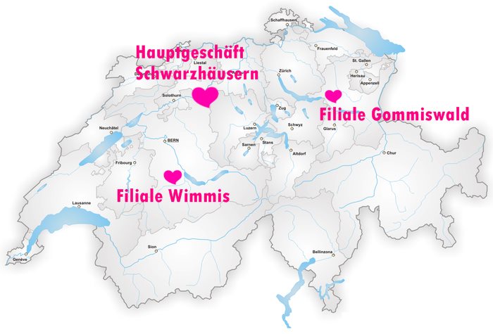 Brautmodenhaus mit 3 Filialen in Schwarzhäusern, Wimmis, Gommiswald. Brautmode zu günstigen Preisen.