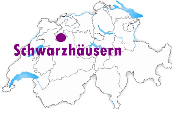 Brautkleider ab Grösse 34 günstig kaufen Schweiz 