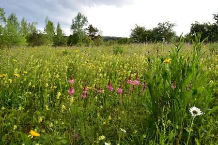 Brautmoden Haus in der Natur